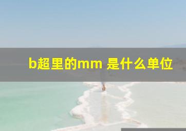 b超里的mm 是什么单位